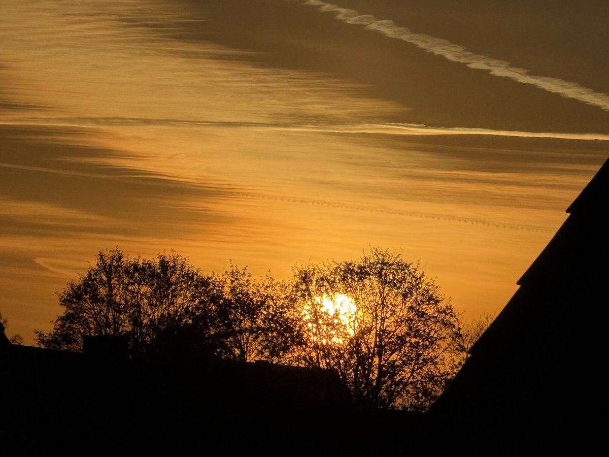 Anja Mueller tweet media