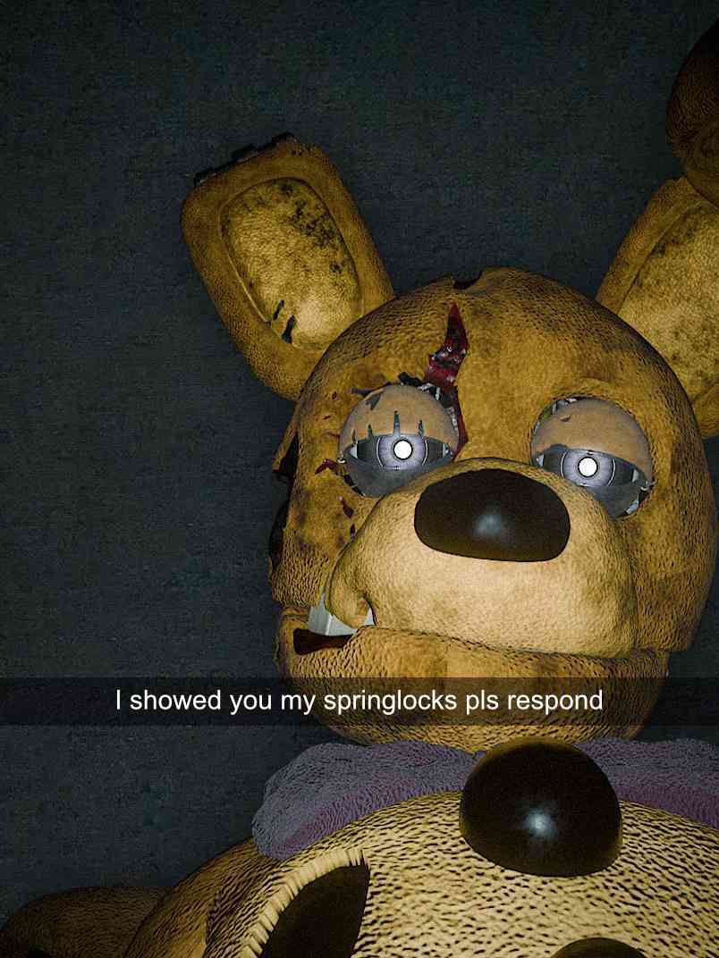 SPRINGBONNIE tweet media