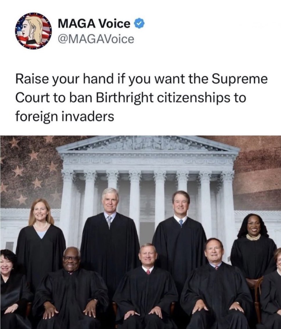 Proud Elephant 🇺🇸🦅 tweet media