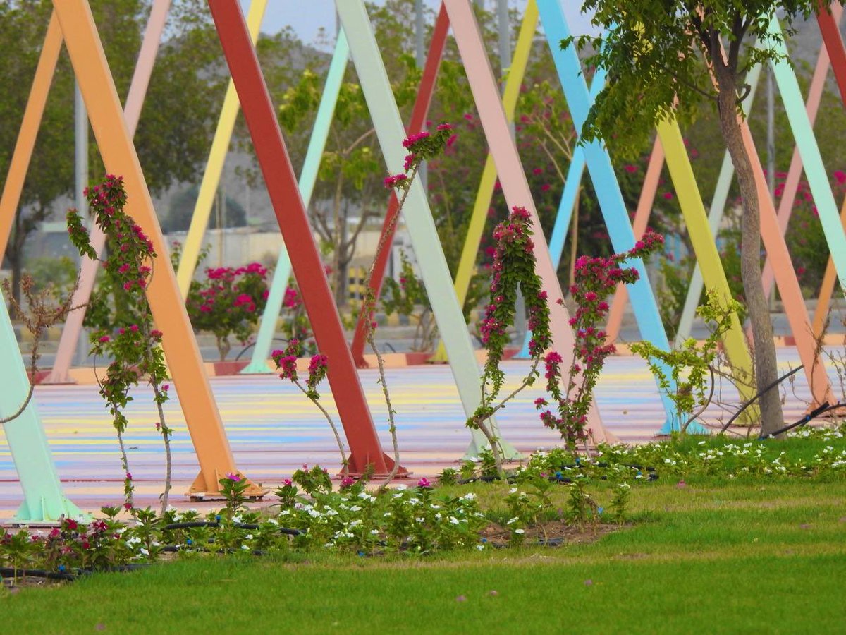 أمانة منطقة نجران tweet media