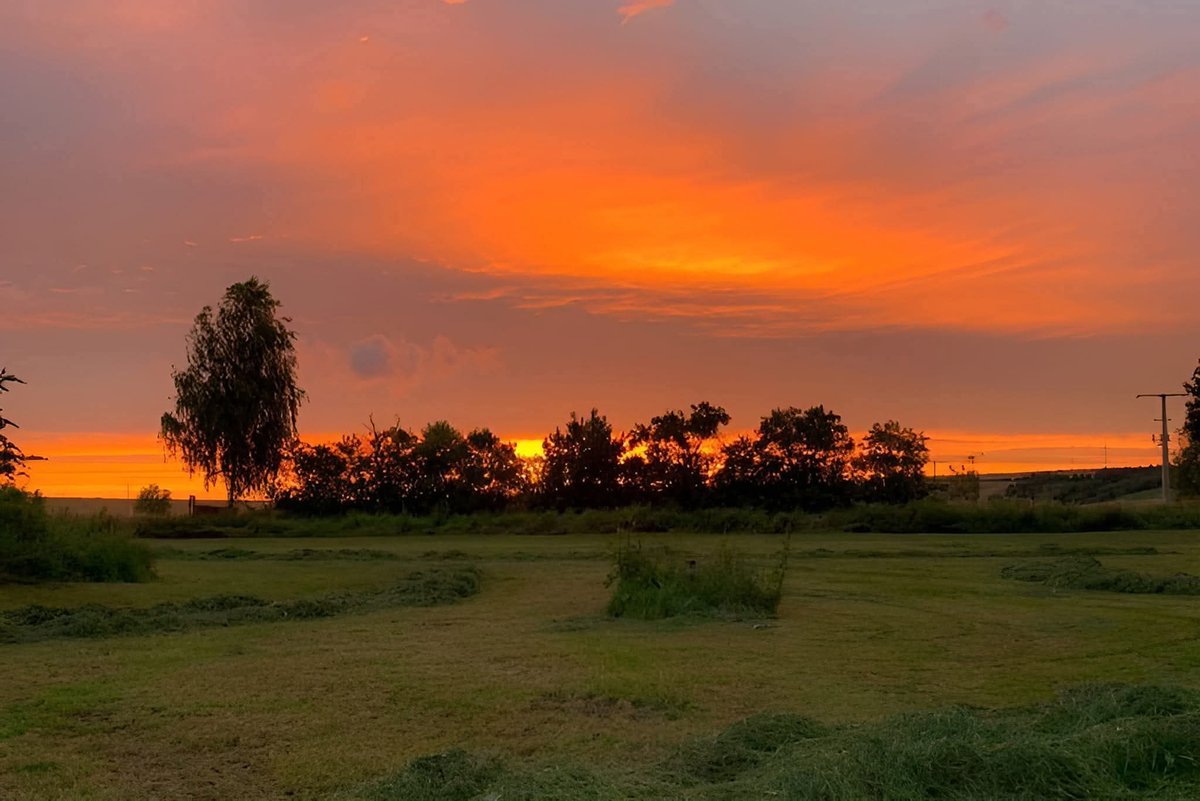 كأنّما الفَجر مَبعوثٌ ينبّئنا
أنّ الشّدائدَ يأتي بَعدهَا الفرجُ.