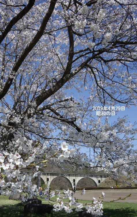 白黒Ｐ tweet media