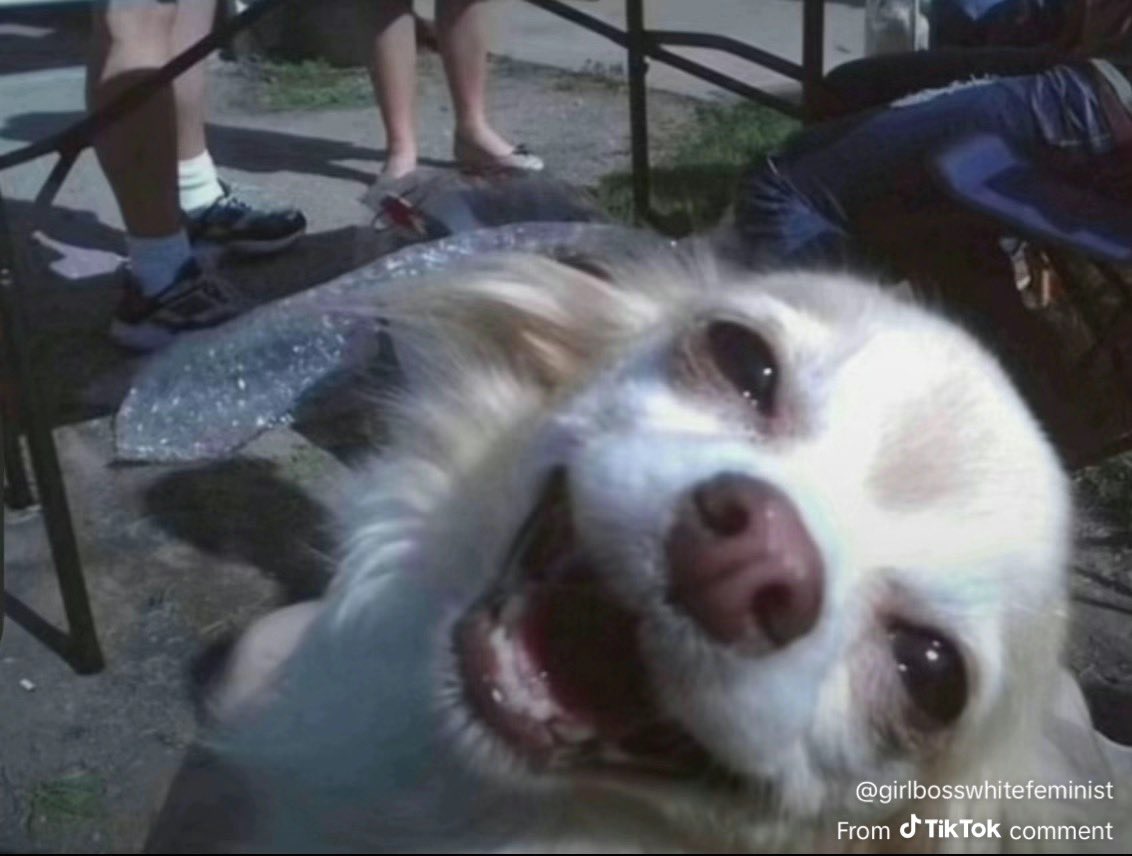 britt ◡̈ tweet media