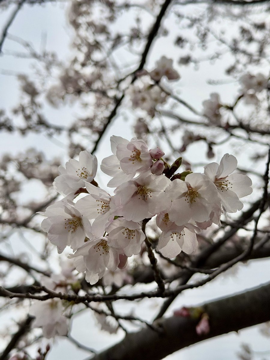 Taka Masui tweet media