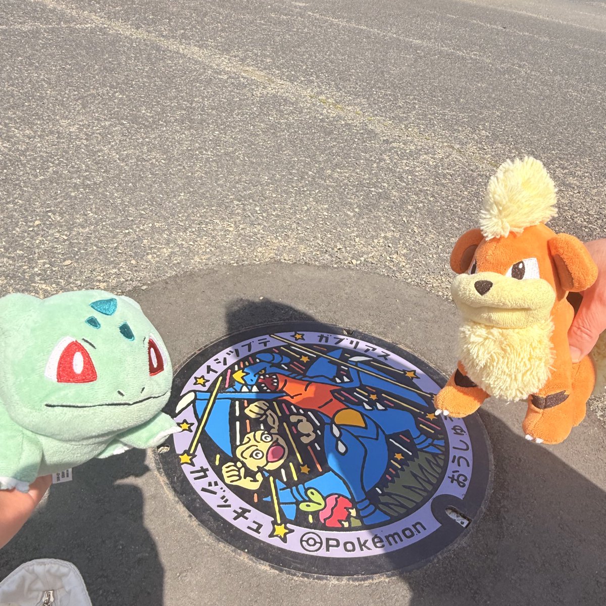 ♡ダーネといっしょ♡ tweet media