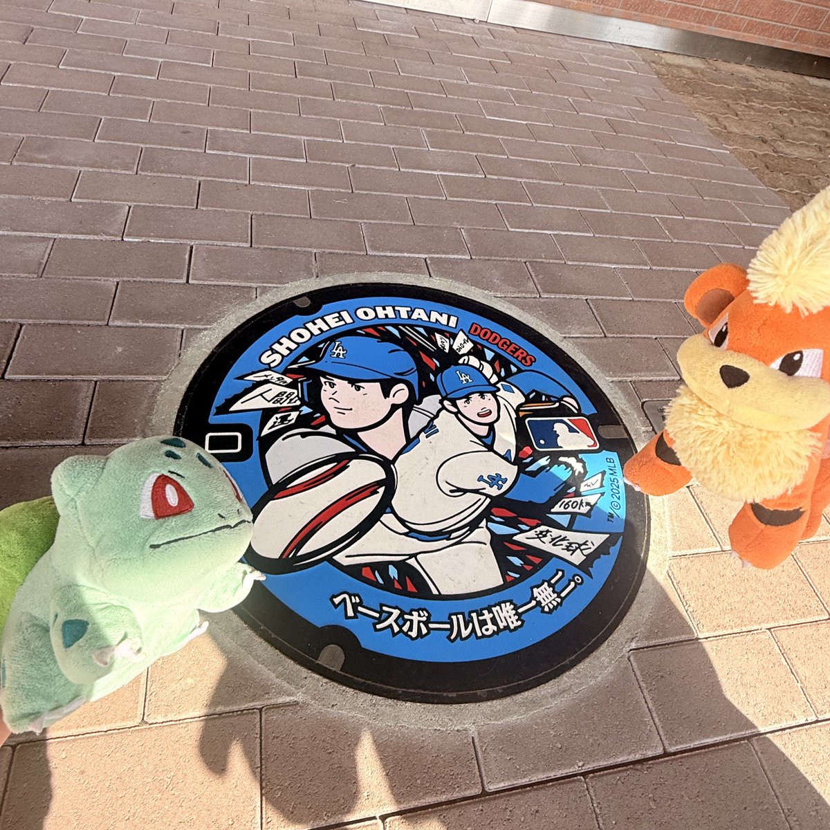 ♡ダーネといっしょ♡ tweet media