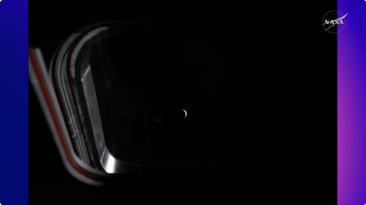 Gnomes will Gnaw! tweet media