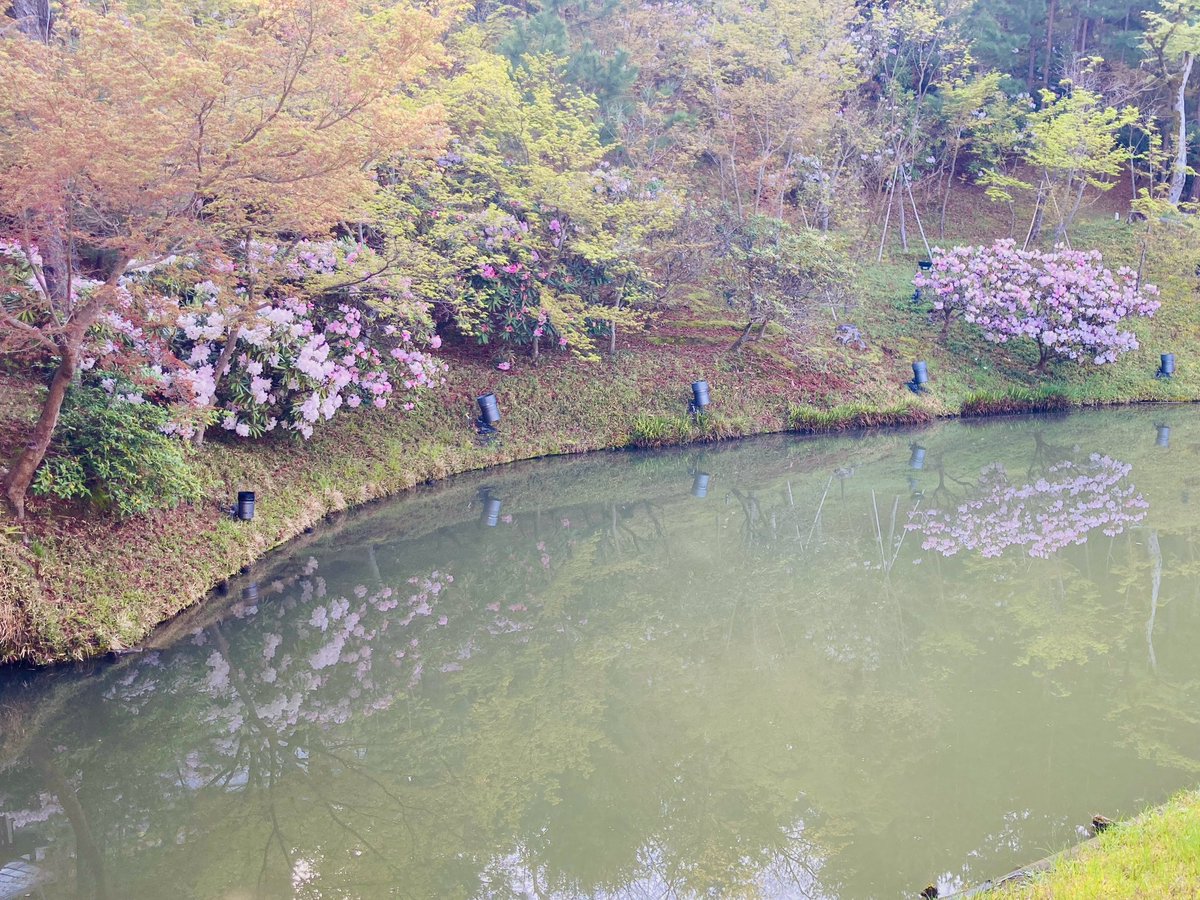 鷲峰山 高台寺 tweet media