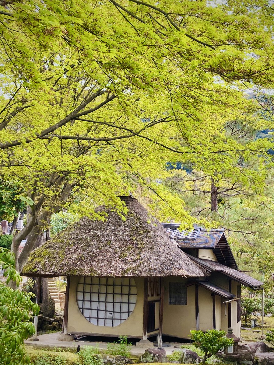 鷲峰山 高台寺 tweet media