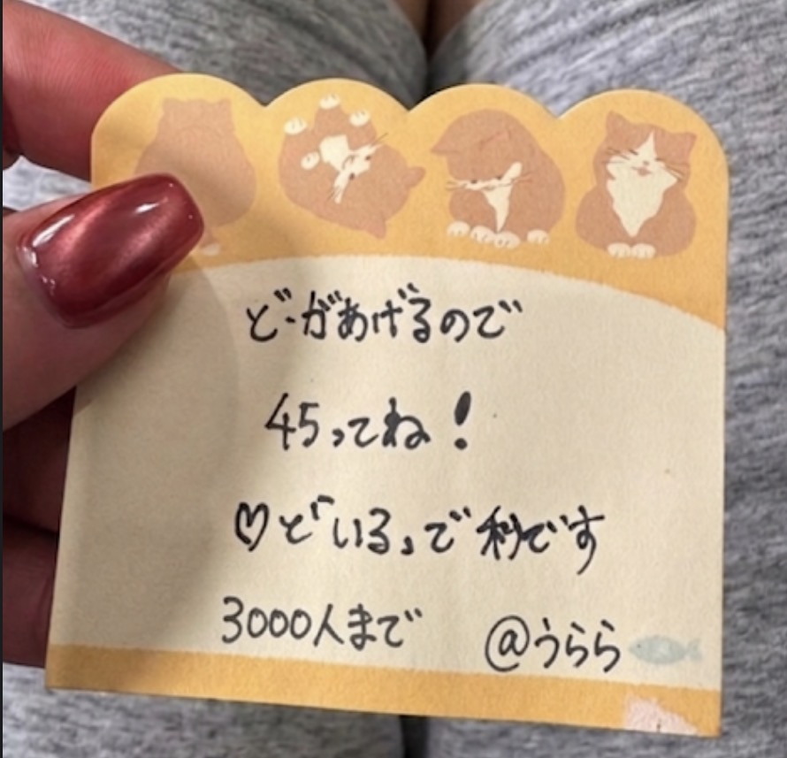 うらら tweet media