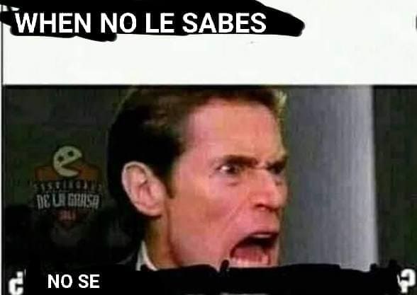 The Heavy Delegate tweet media