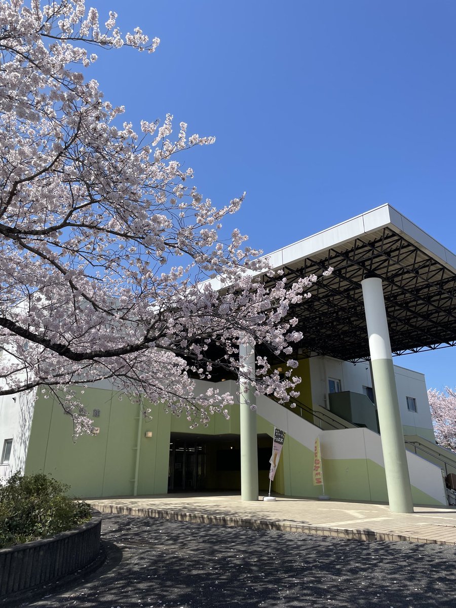iryososei_PR's tweet photo. めっちゃ桜。

🌸いわきキャンパス満開です🌸

#桜 #いわき市 https://t.co/f3mpSVQfFO