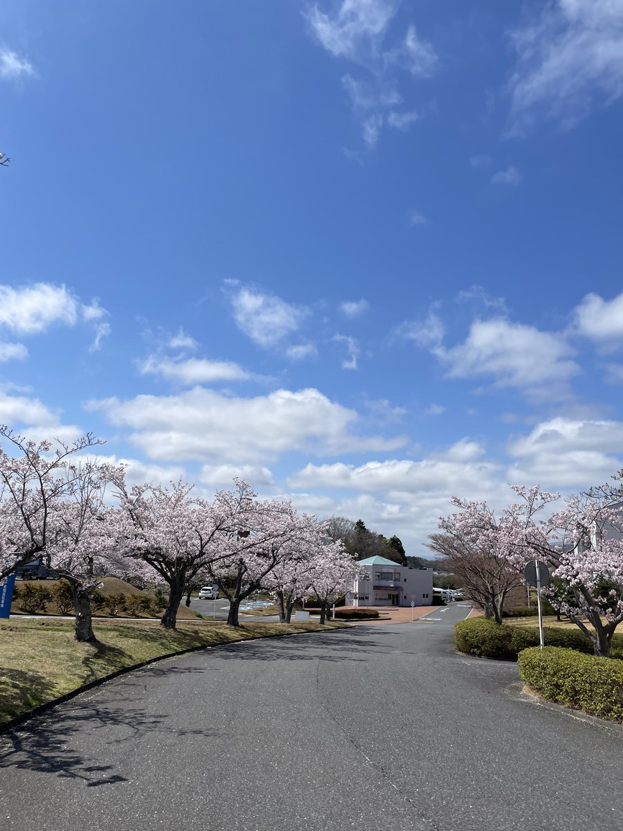 iryososei_PR's tweet photo. めっちゃ桜。

🌸いわきキャンパス満開です🌸

#桜 #いわき市 https://t.co/f3mpSVQfFO