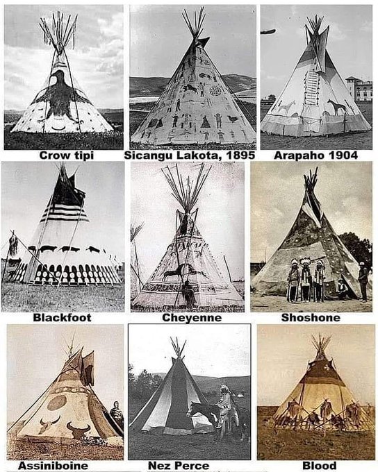 YaNative's tweet image. #YaNative