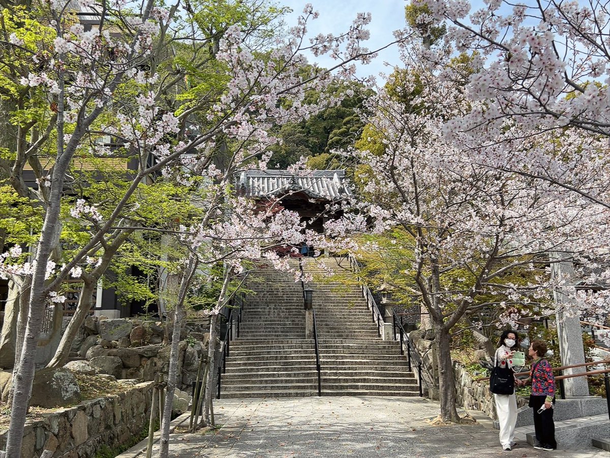 ヤドン舞浜 tweet media