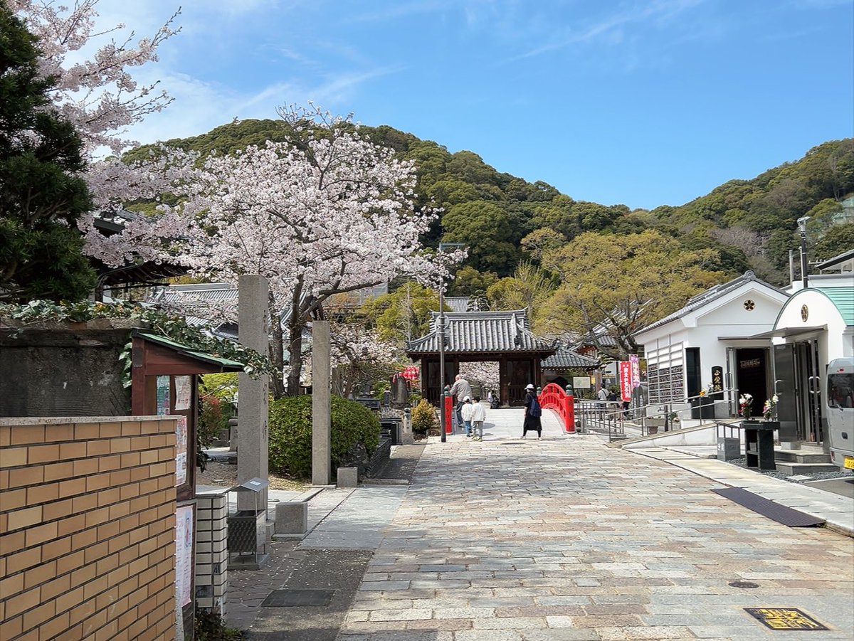 ヤドン舞浜 tweet media