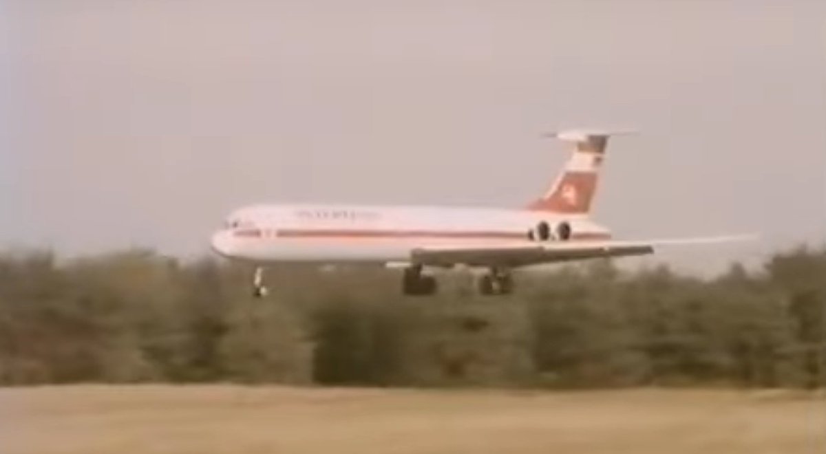 Animarchy History 🇦🇺 tweet media