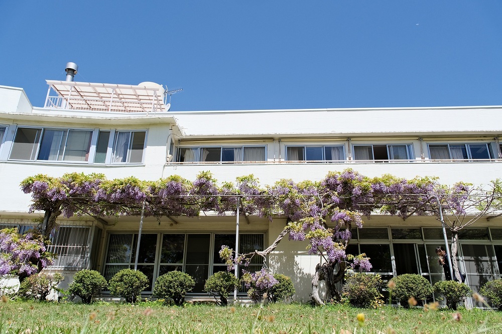 東京都武蔵野市 tweet media