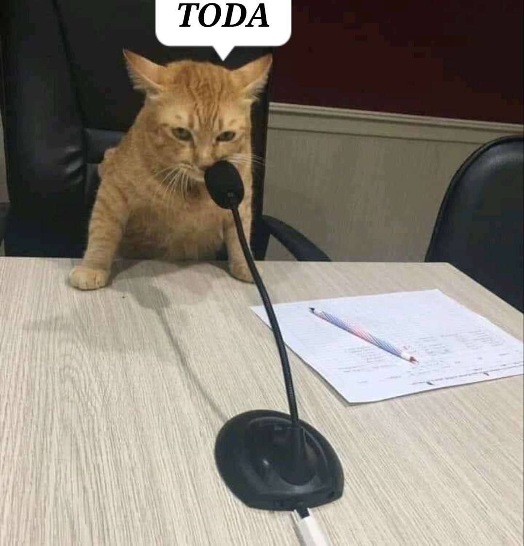 yoni yisus gusanoman pueblito tweet media