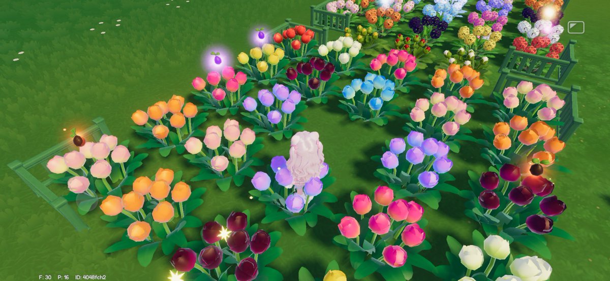 uiui_pigg's tweet photo. @pnd_pigg 半分こしよほんとに
紫出来るまでに夜光の方が出来てて意味わからんち
この置き方も悪くないみたいで今日いい感じだった！ https://t.co/1ZwMJnOCkp