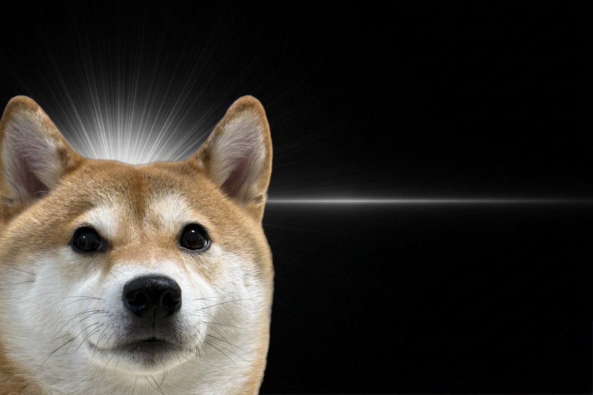 シヴァイヌ まろん tweet media