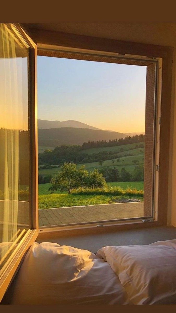 غصن 🌱 tweet media