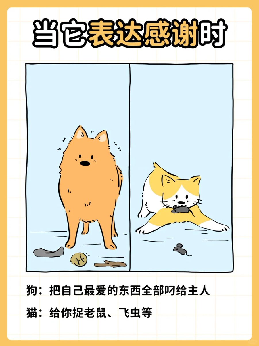 tojammel tweet media