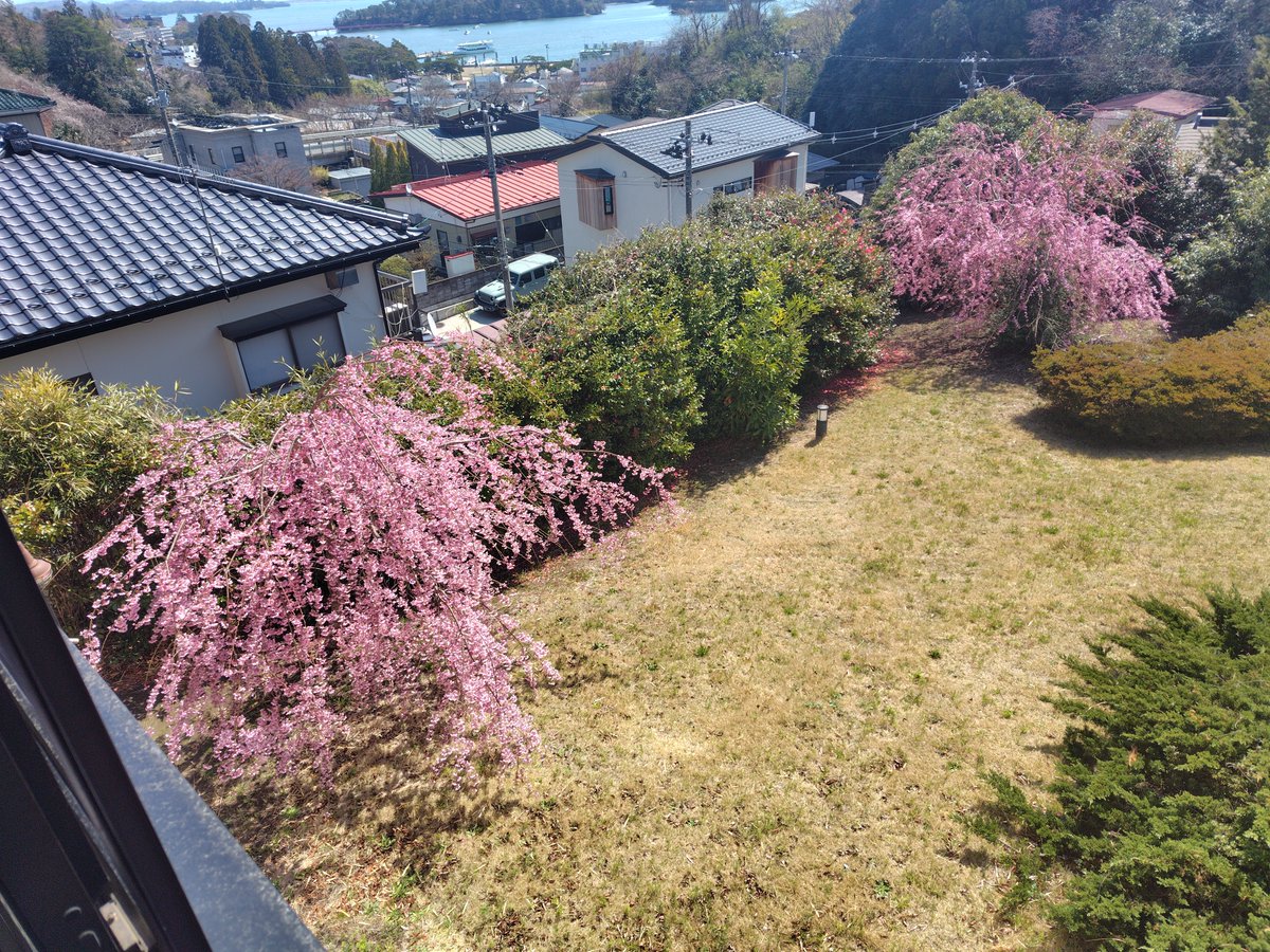info34254515's tweet photo. バジェットツイン（201～204）は
眺望なしとはありますが
多少は海が見えます💡
見えにくくて申し訳ないです💦
海がばっちり見えるのは
2階のツイン＋ソファのお部屋です💡
部屋に入って真正面が海になります💡

＃雲静庵　＃松島 https://t.co/JzYwvkMjBO