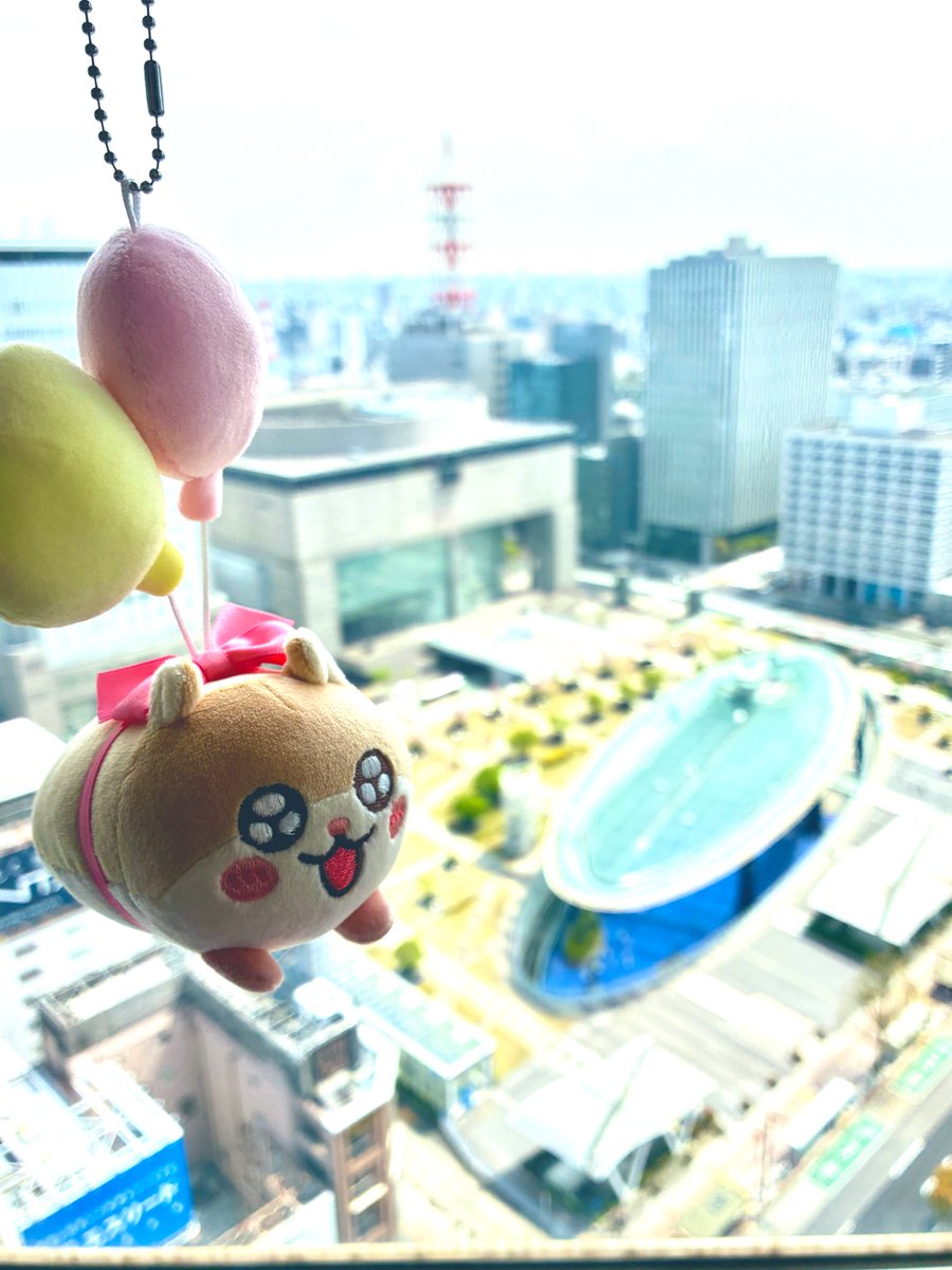 Miuna。 tweet media