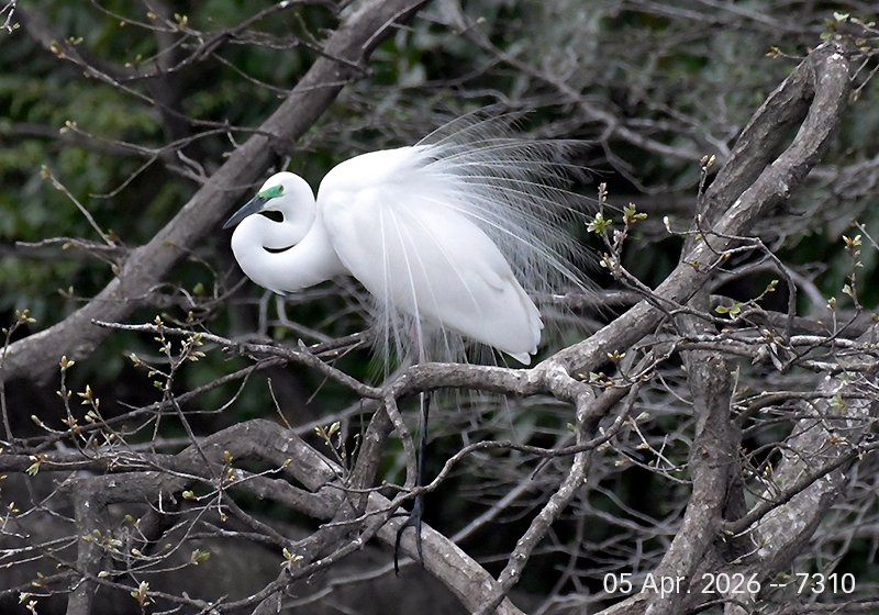 Hal-co YO tweet media