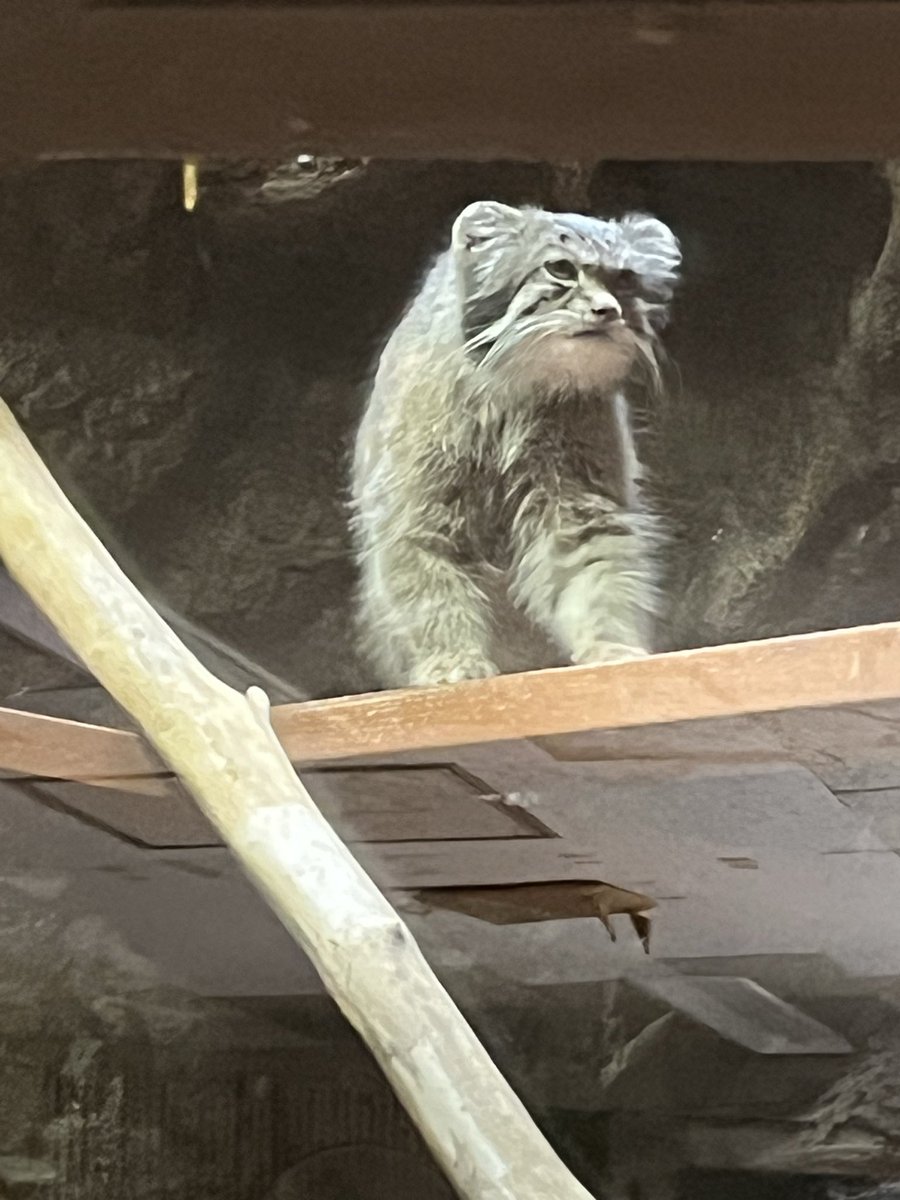 うたざる👻🫧 tweet media