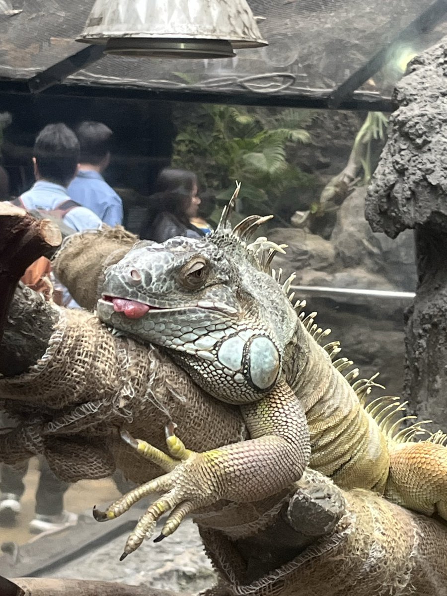 うたざる👻🫧 tweet media