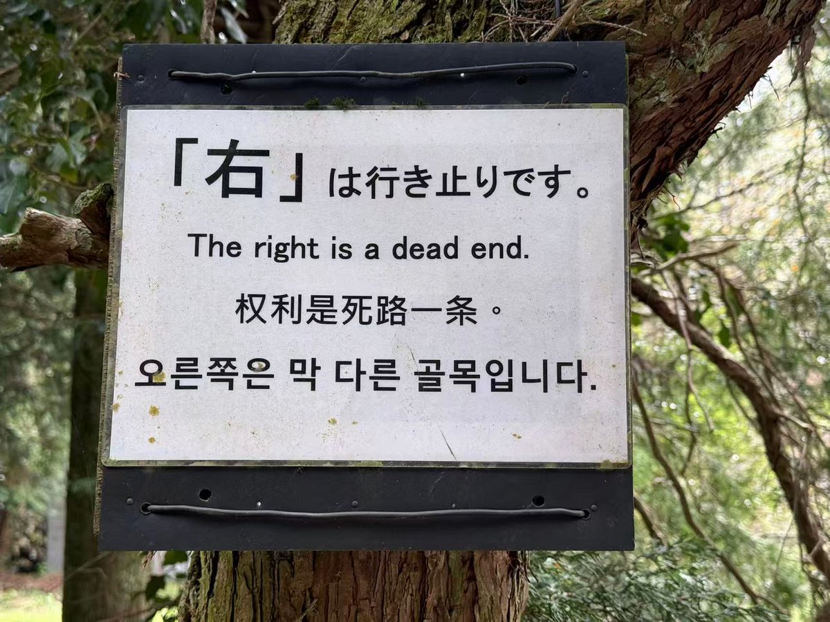 琵琶牧々 tweet media