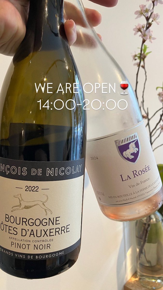 ゆきおとワイン tweet media