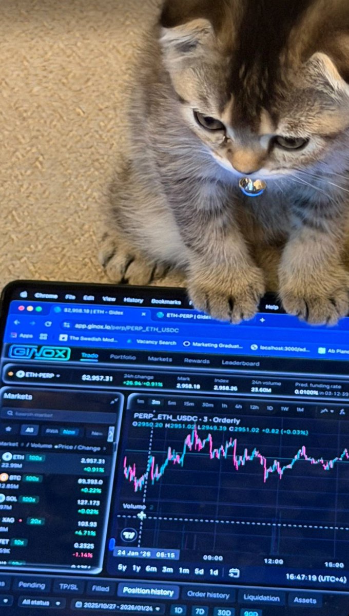 BEEBRAIN tweet media