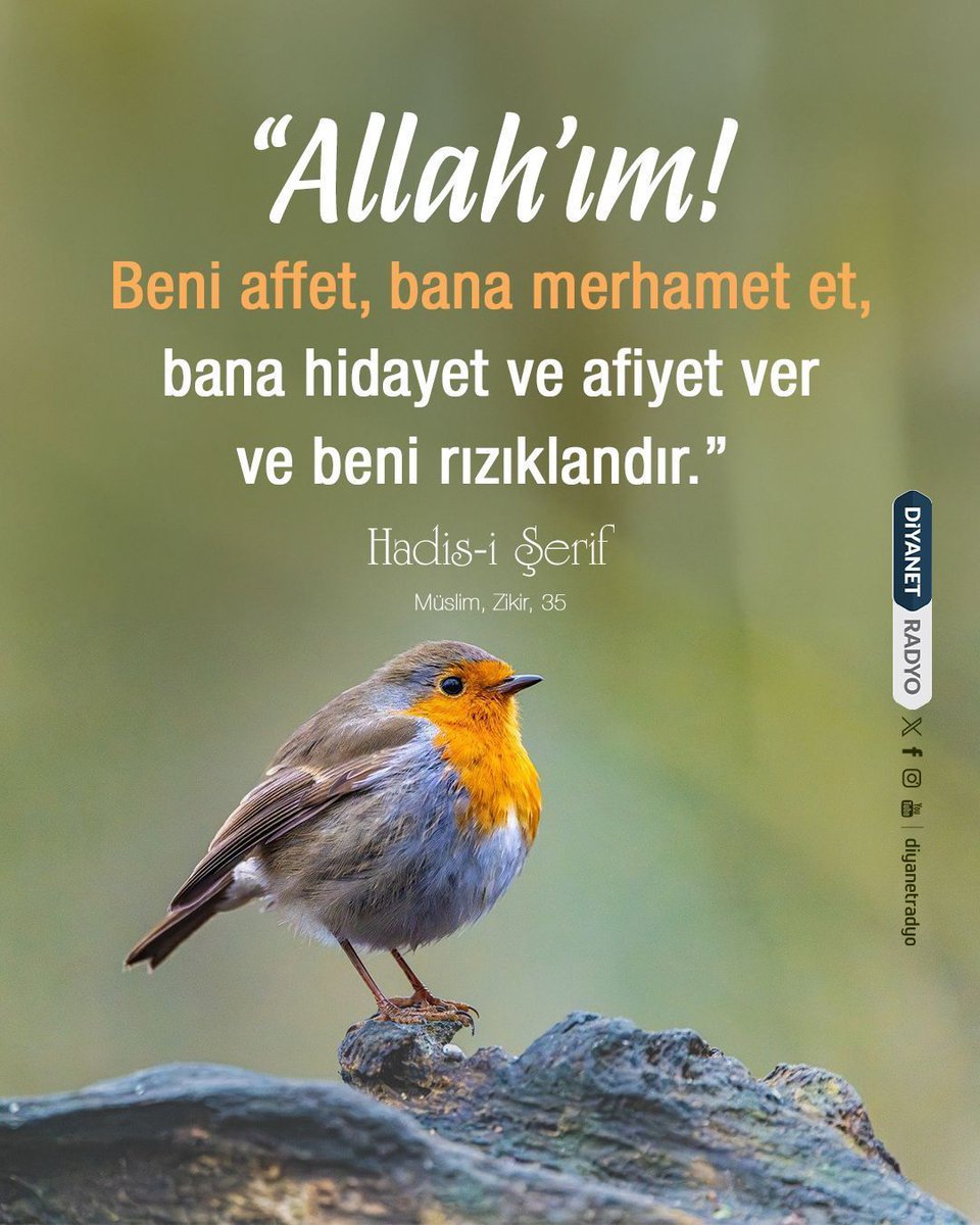 ❝Allah’ım! Beni affet, bana merhamet et, bana hidayet ve afiyet ver ve beni rızıklandır.❞  

Hadis-i Şerif | Müslim, Zikir, 35  

#Hadis #Hadis-i Şerif