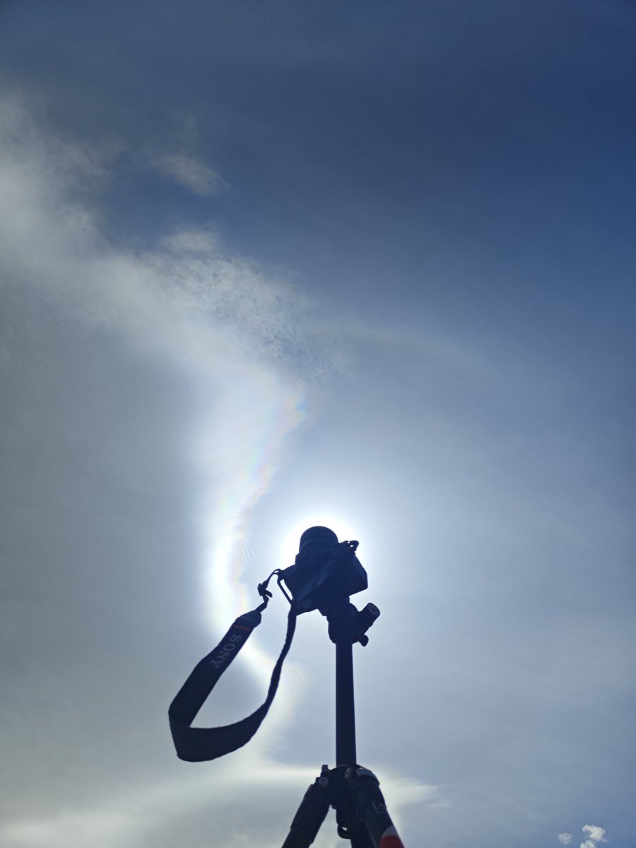 Sufflection.wav tweet media