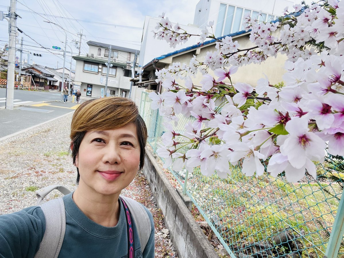 Sakachieee's tweet photo. この桜、家から駅に向かう間にある最初の桜。
一番最初に咲いて
あの雨にも耐えて咲き誇ってる。
とっても綺麗だ。
4月5月のライブ情報です。
楽しみにいらしてください。 https://t.co/yrCikx6CY1
