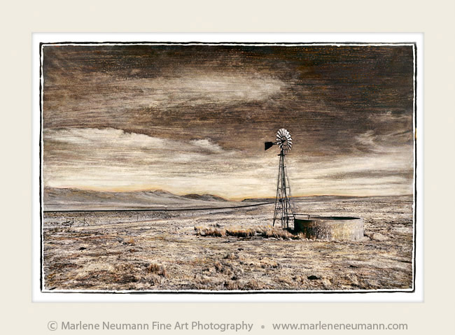 Marlene Neumann tweet media