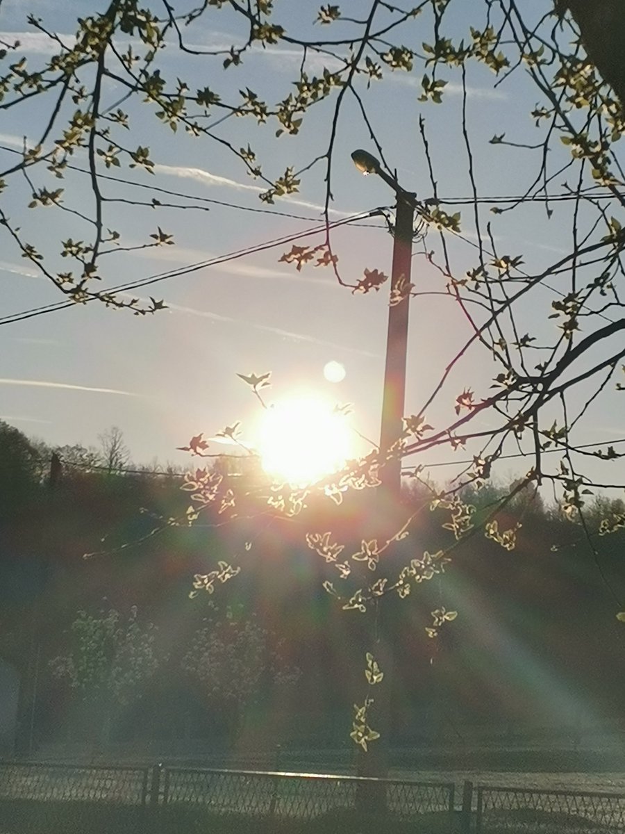 Drugi Način... tweet media