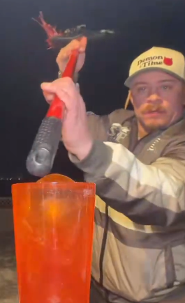 Charlie-Kirk-Loves-You-Nigga! tweet media