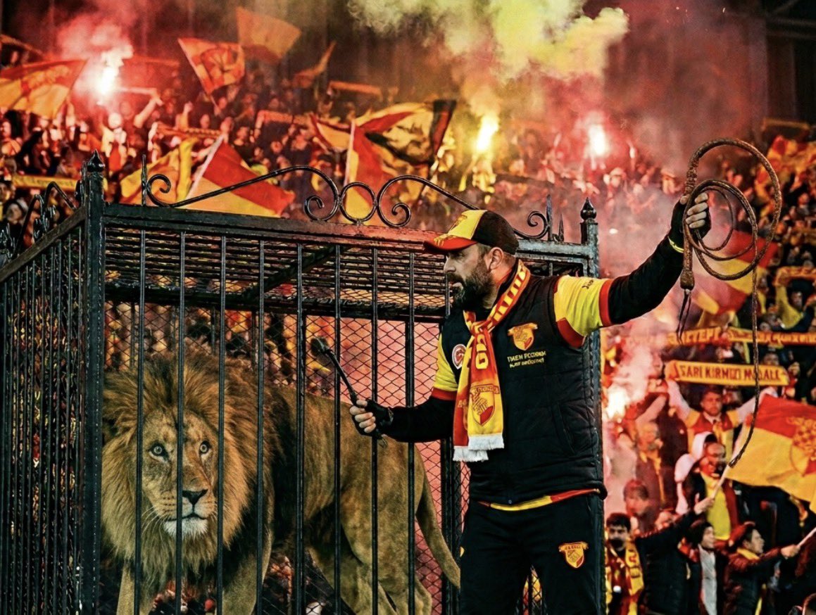 Göztepe TV tweet media