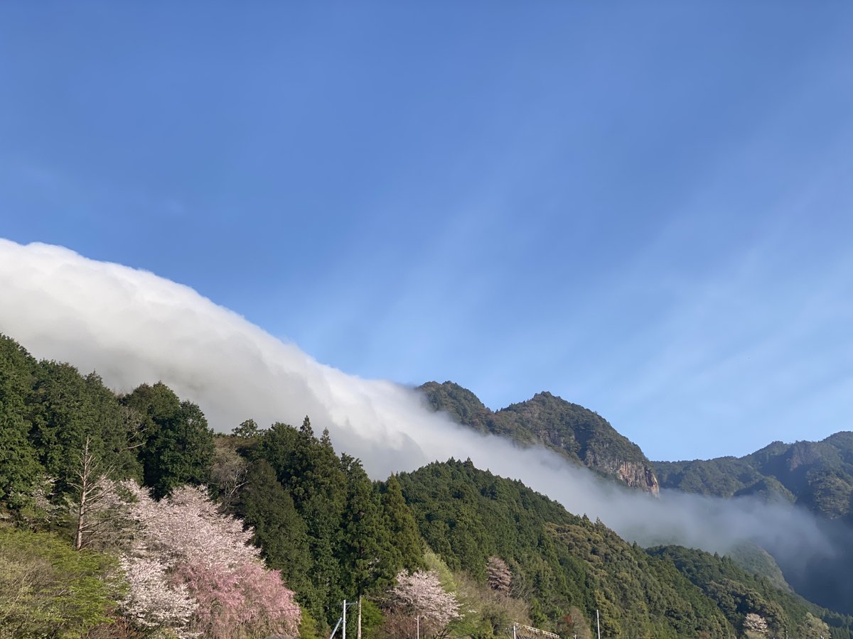 三重県御浜町🍊 tweet media