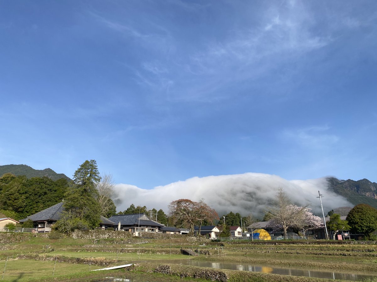 三重県御浜町🍊 tweet media