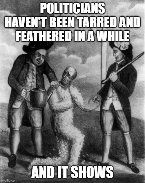 Saddle Tramp tweet media