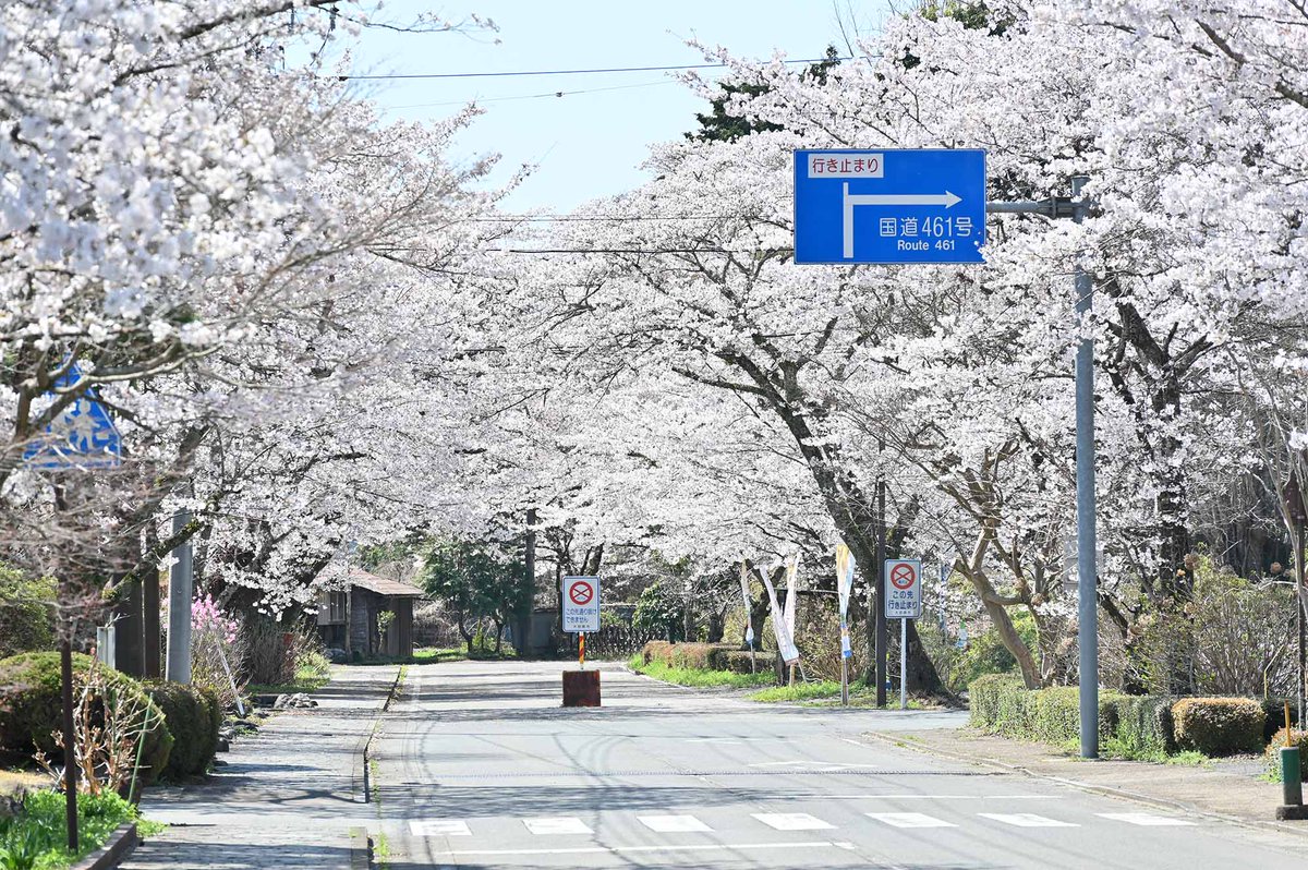 大田原市(公式) tweet media