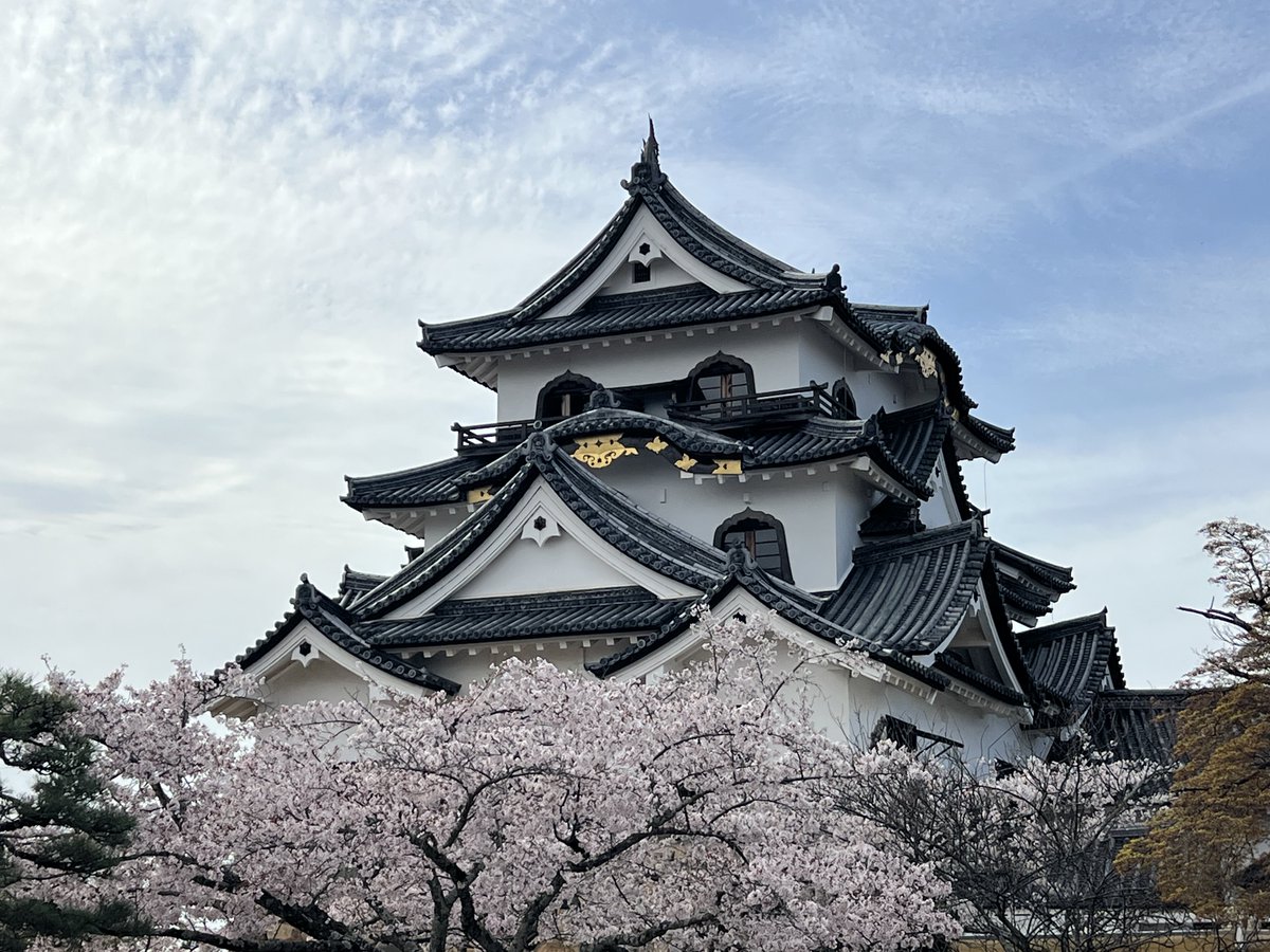 2026年4月6日

『城の日』
やっぱり ココ😆

彦根城🏯滋賀県

今年は 彦根の桜🌸
見ずに終わろうかと
思ったが…🚗💨

暗くなるまで
居ようか…🤔
帰ろうか……😣