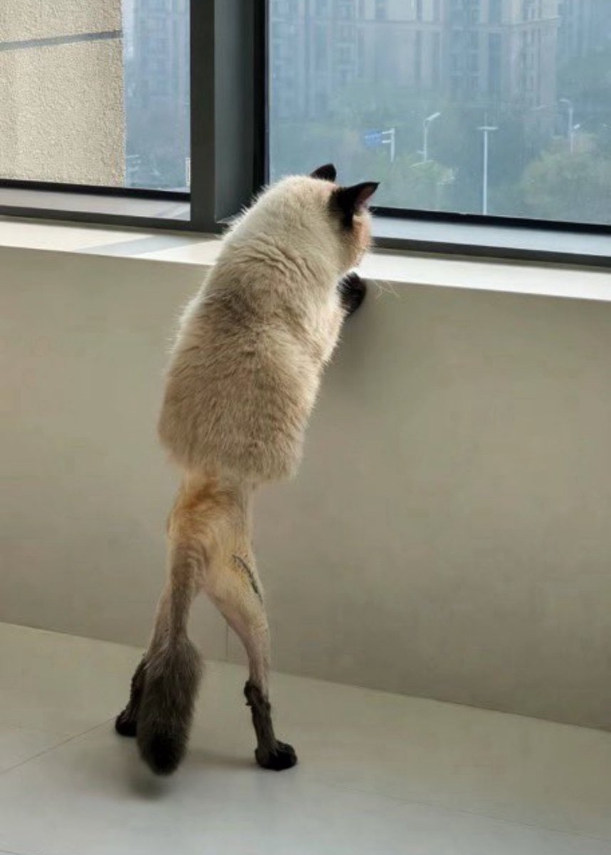 مو أنا tweet media