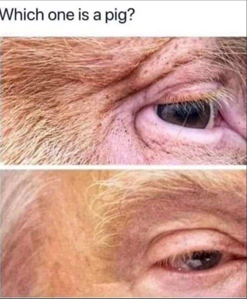 MR I TOUCH KIDS tweet media