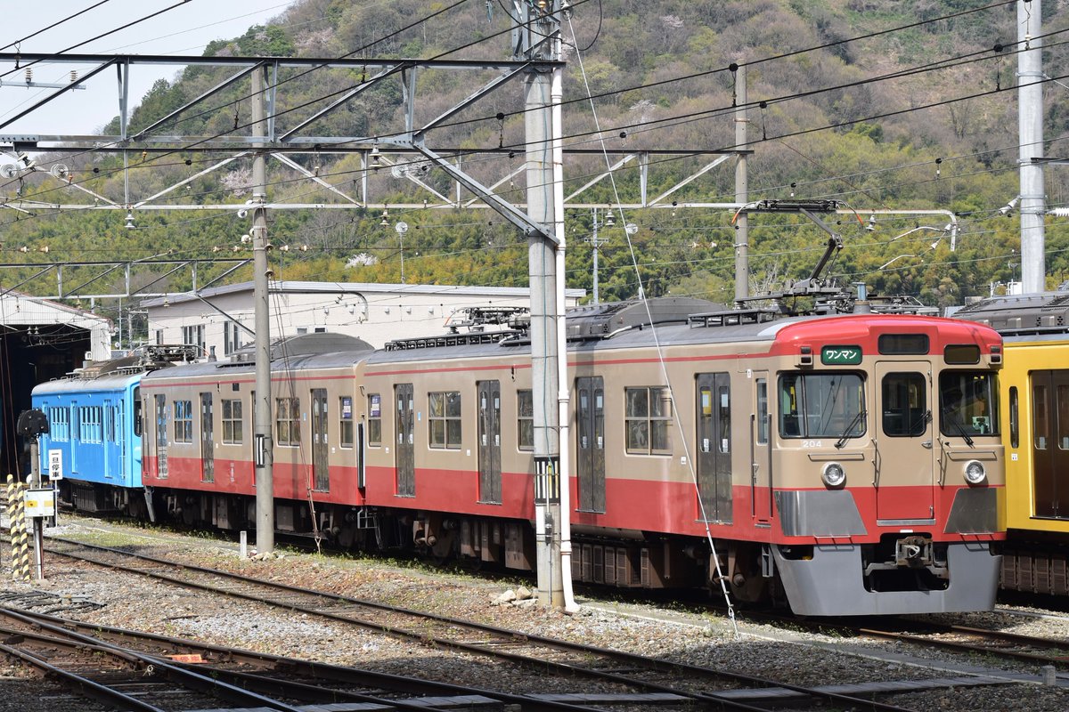 よーよー快速 tweet media